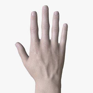 HND-012 Rigged Right Hand 3D