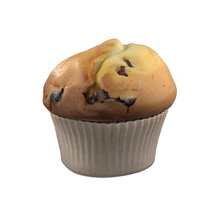 Muffin 2