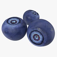 Bilberry