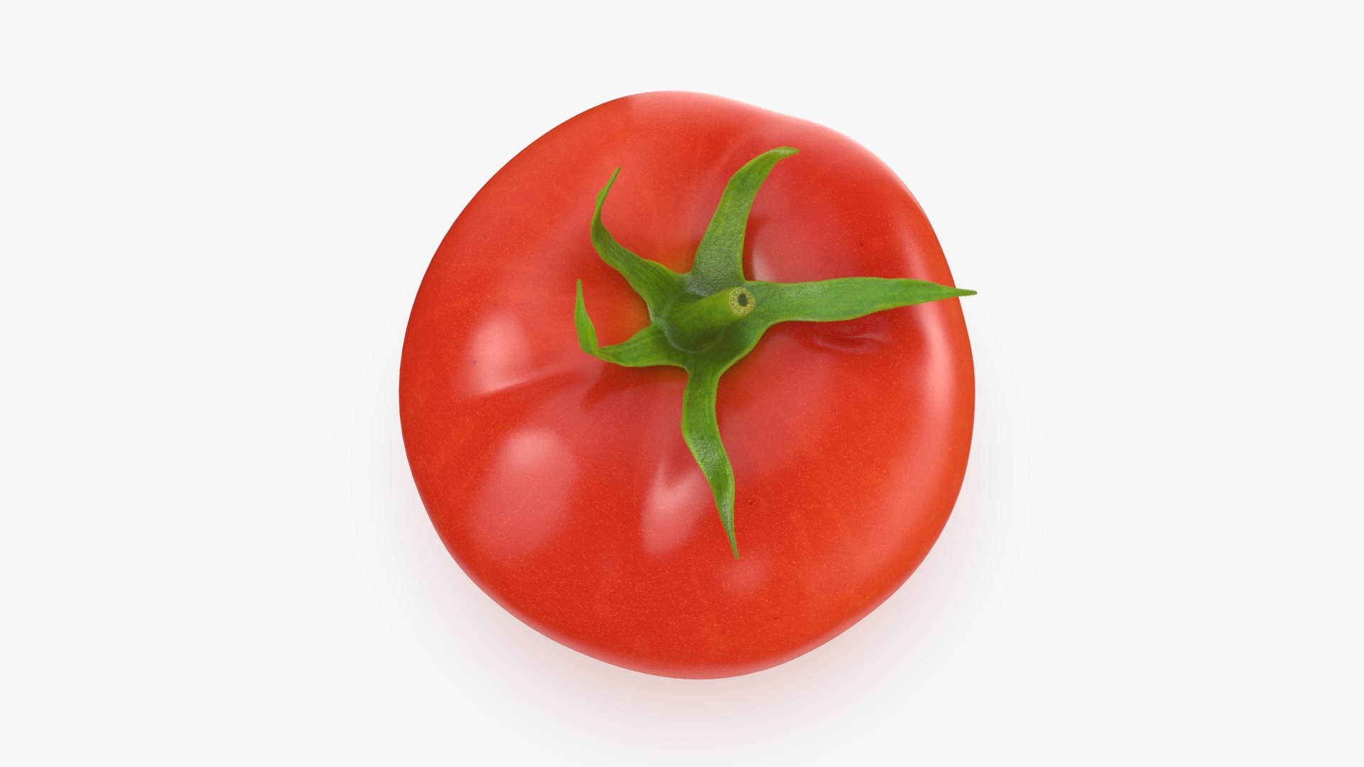 3D model Tomato https://p.turbosquid.com/ts-thumb/cQ/zXobiH/9M/tomato_b0008/jpg/1741518432/1920x1080/fit_q87/0eccf1972d1e5334e9e62b6a749aaa0633e045e2/tomato_b0008.jpg