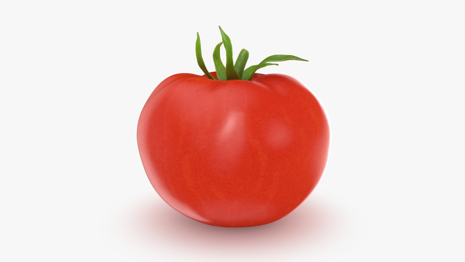 3D model Tomato https://p.turbosquid.com/ts-thumb/cQ/zXobiH/9e/tomato_b0010/jpg/1741518434/1920x1080/fit_q87/7bac5bd89aaec960867d9cd9e4467768e4bb3005/tomato_b0010.jpg