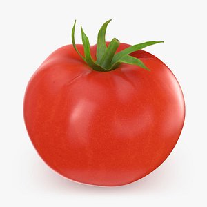 3D model Tomato