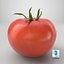 3D model Tomato