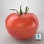 3D model Tomato