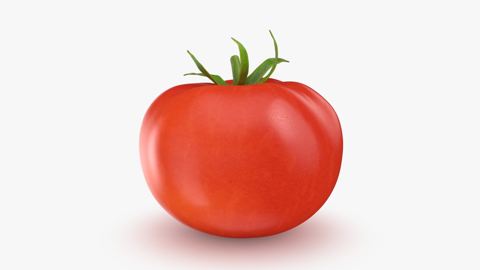3D model Tomato https://p.turbosquid.com/ts-thumb/cQ/zXobiH/LI/tomato_b0014/jpg/1741518434/1920x1080/fit_q87/3ae2d3fc95dd6da5bc2bde8b058b8767d4c5d56b/tomato_b0014.jpg