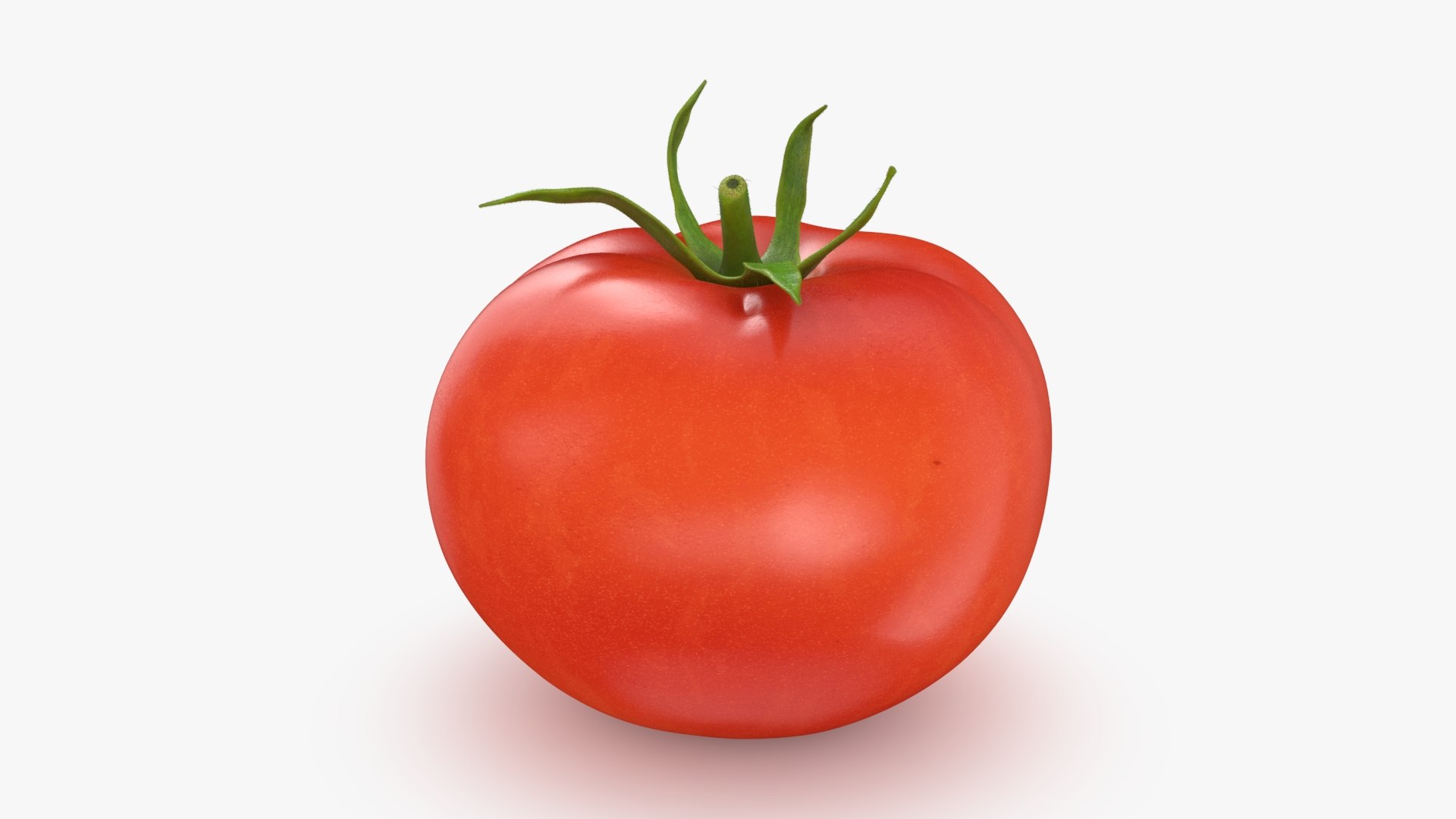 3D model Tomato https://p.turbosquid.com/ts-thumb/cQ/zXobiH/W0/tomato_b0004/jpg/1741518431/1920x1080/fit_q87/e2db7a69a9b4ba1996c221c69185717b538c6087/tomato_b0004.jpg