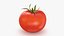 3D model Tomato