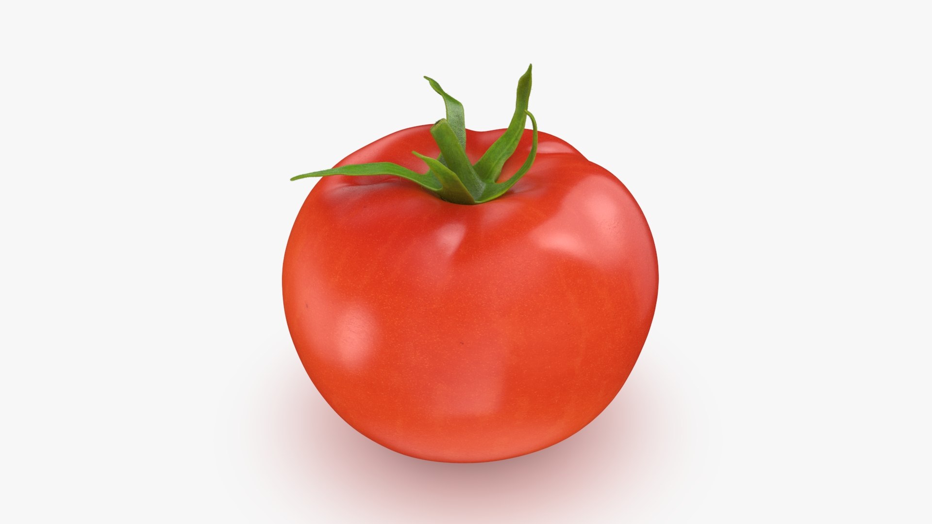 3D model Tomato https://p.turbosquid.com/ts-thumb/cQ/zXobiH/YX/tomato_b0002/jpg/1741518429/1920x1080/fit_q87/c1f979cb6c6c9e530c60402f4dc3fa4ce1eb42b5/tomato_b0002.jpg