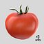 3D model Tomato