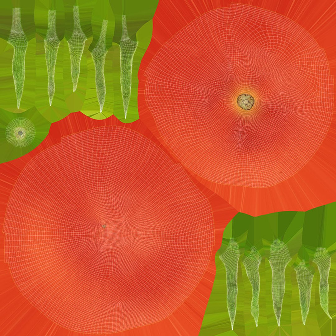 3D model Tomato https://p.turbosquid.com/ts-thumb/cQ/zXobiH/oh/tomato_d0004/jpg/1741518437/1920x1080/fit_q87/90ea32c3e8e0a9383854a574e516b39501b92bae/tomato_d0004.jpg