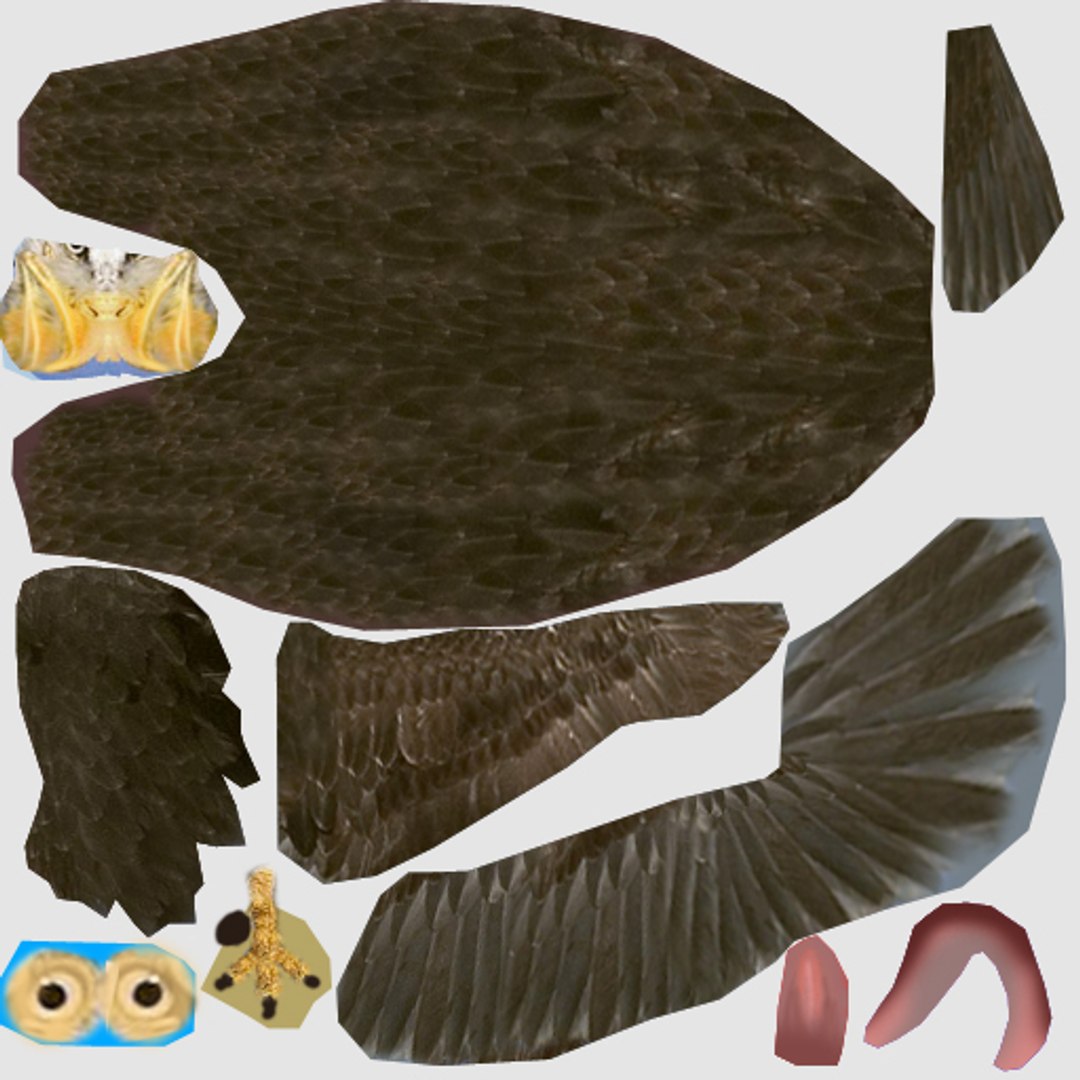 Eagle Hd 3D - TurboSquid 1172720