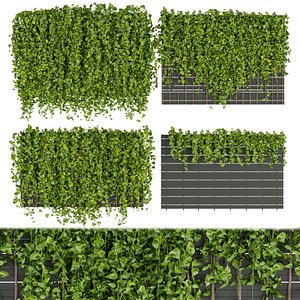 Collection plant vol 316 - Fitowall - Leaf - Ivy -  blender 3D model