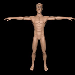 man 3D model