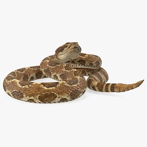 Rattlesnake Rigged