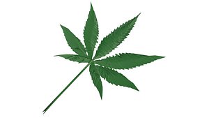 marijuana leaf 3D