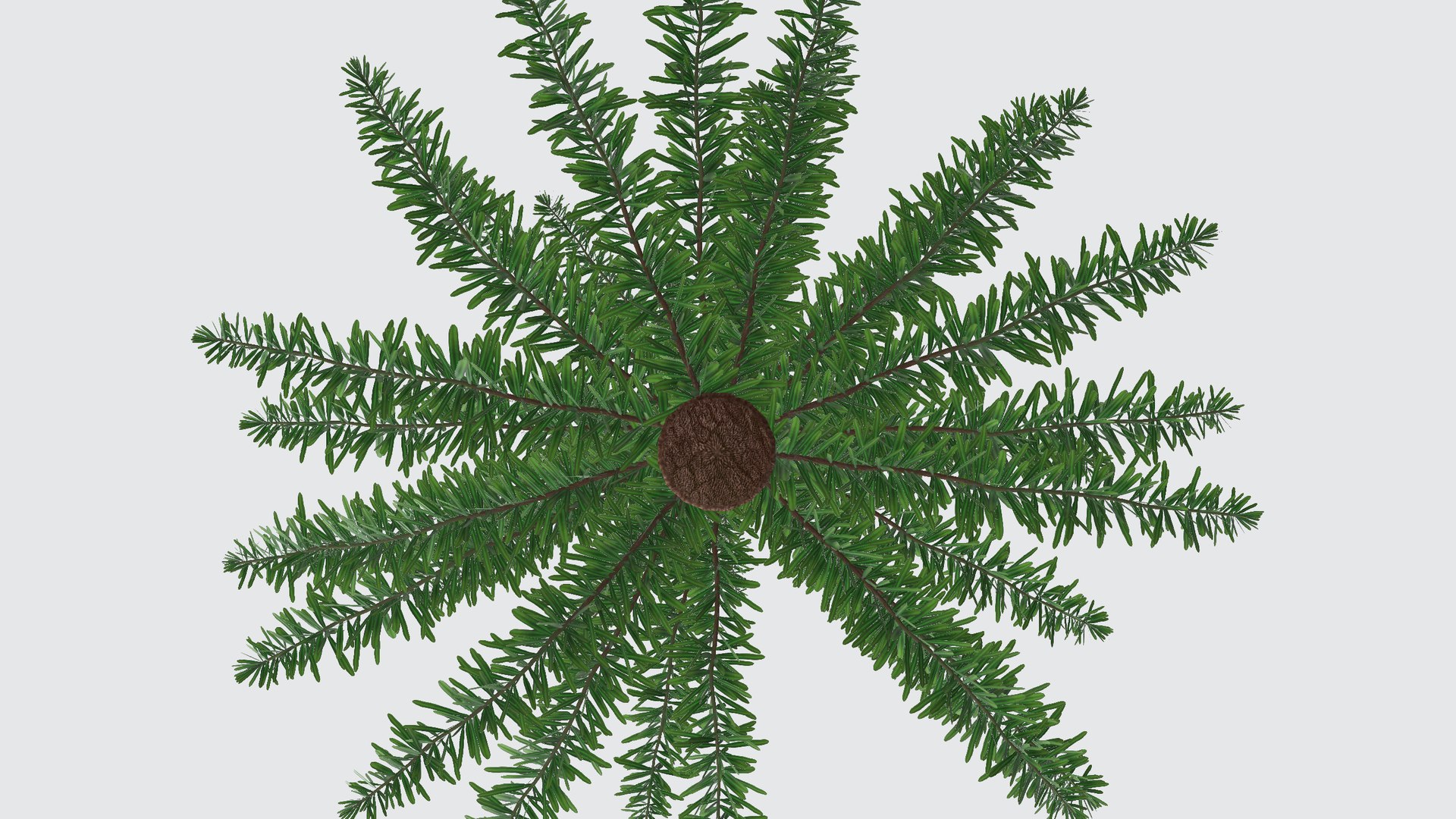 Evergreen Tree 3D - TurboSquid 2331139