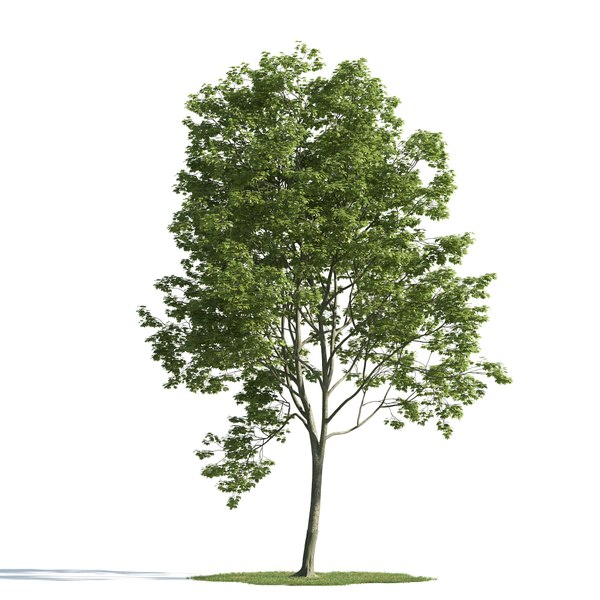 3d archmodels vol 163 trees