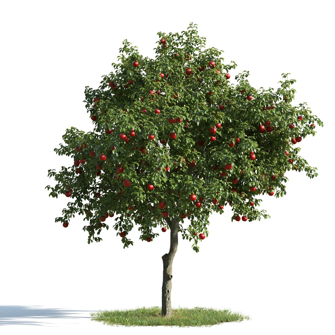 Яблоня дерево символ. Evermotion - archmodels 163. Кустовая яблоня. Яблоня дерево ПГ. Archmodels Vol. 163.