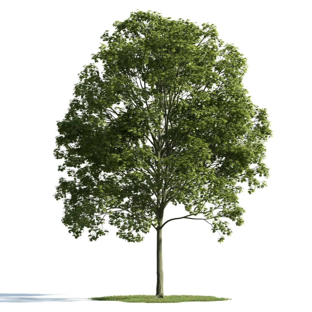 3d archmodels vol 163 trees