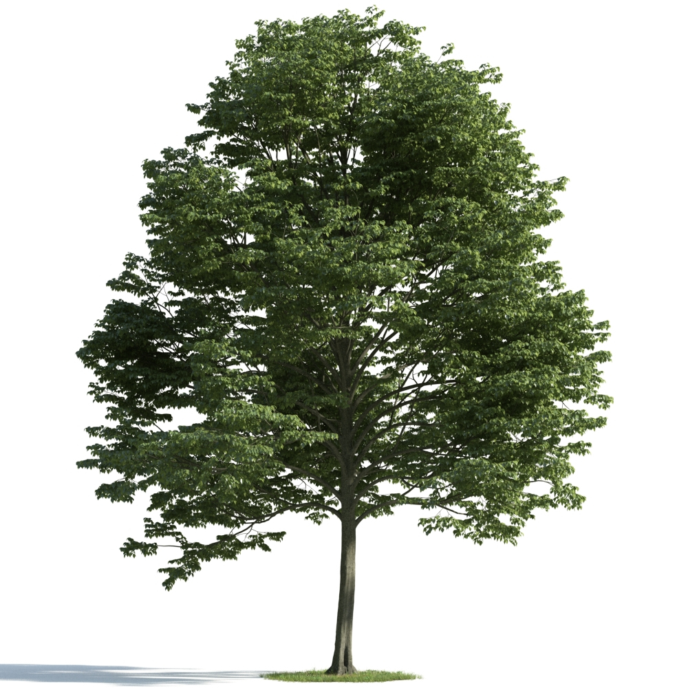 3d Archmodels Vol 163 Trees