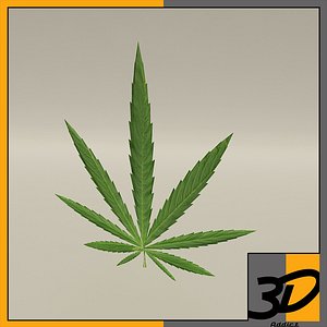 3d weed