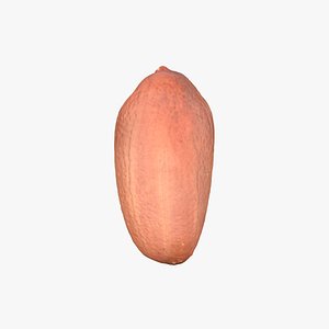 Peanut Kernel