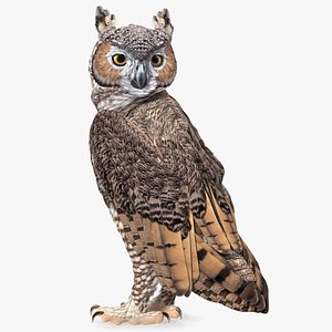 3D model great horned owl standing