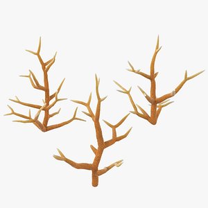 Acropora Corals R Collection 3D