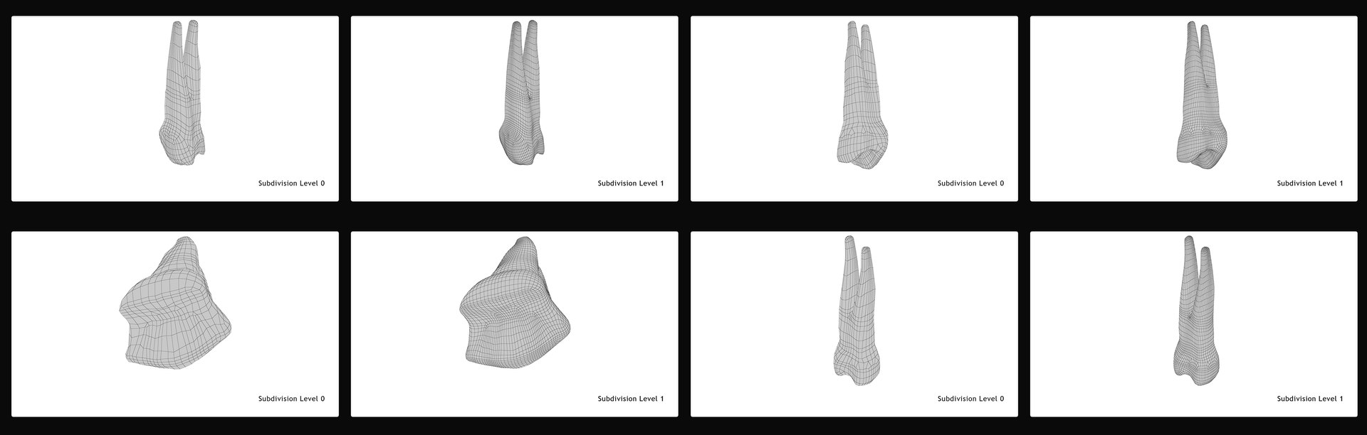 upper human teeths dentition 3D model https://p.turbosquid.com/ts-thumb/cS/8oQgBf/NJBCo2vv/upperfirstpremolar_pres_wireframe/jpg/1586879944/1920x1080/fit_q87/71de8f2fb975d01031cc630d547ce2fbfa8c0107/upperfirstpremolar_pres_wireframe.jpg