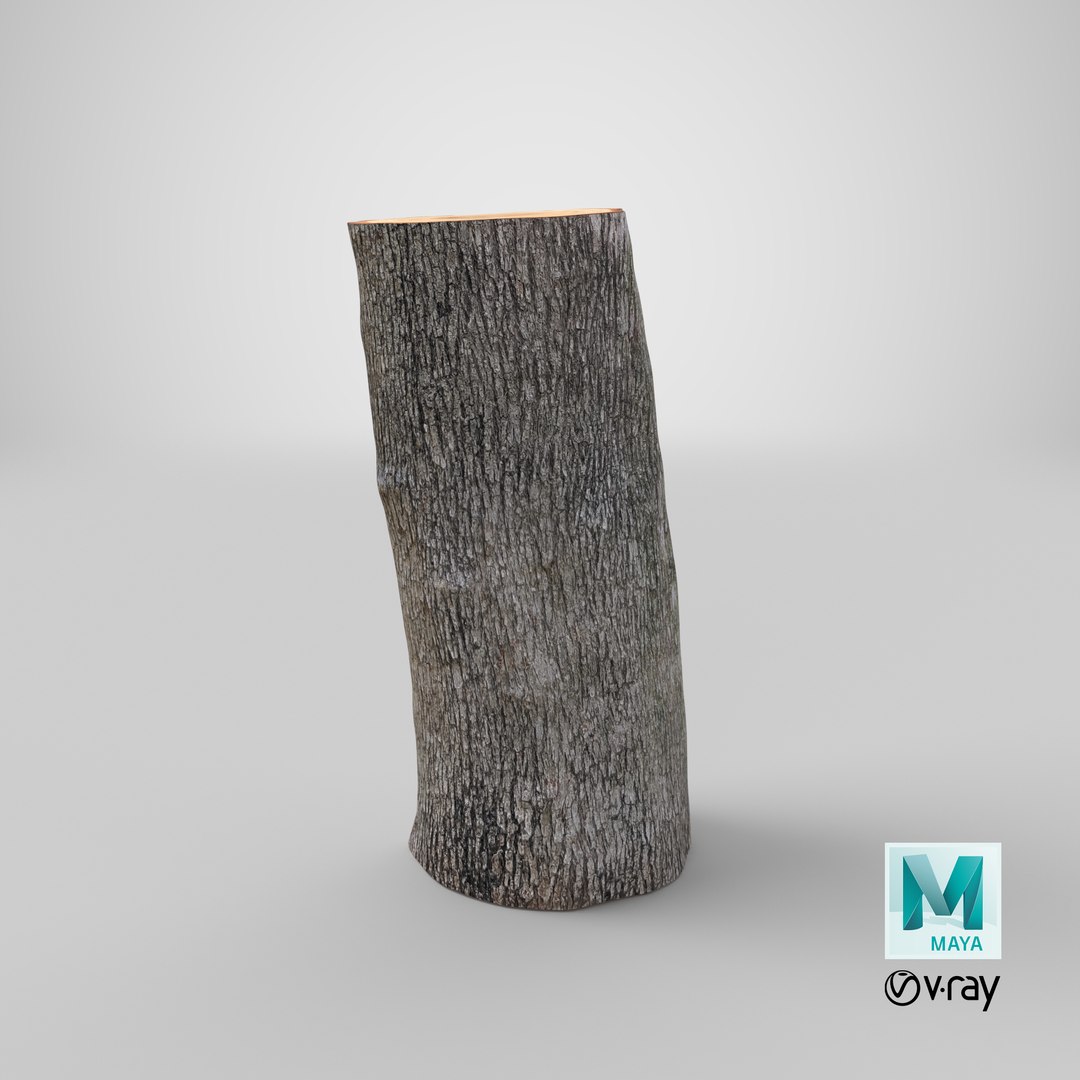 Logs Collection V2 3D model https://p.turbosquid.com/ts-thumb/cS/DZOd6s/31/stemcell_maya_vray_render/png/1692139050/1920x1080/fit_q87/990fd319cf1fb03b645f9dfa51146715e47a89eb/stemcell_maya_vray_render.jpg
