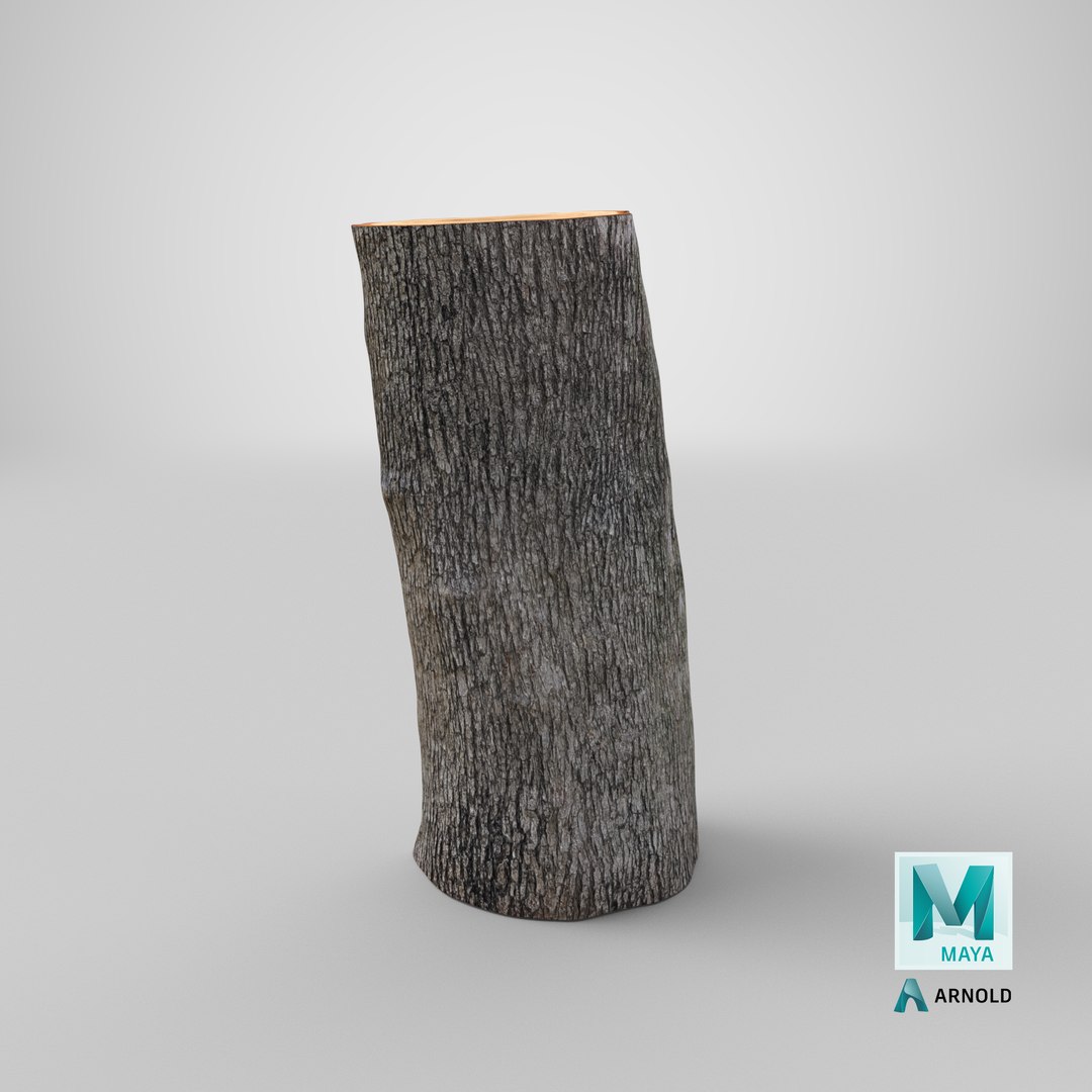 Logs Collection V2 3D model https://p.turbosquid.com/ts-thumb/cS/DZOd6s/6G/stemcell_maya_arnold_render/png/1692139052/1920x1080/fit_q87/ab046f2e8aafc7ad9069d5543713c10193058561/stemcell_maya_arnold_render.jpg