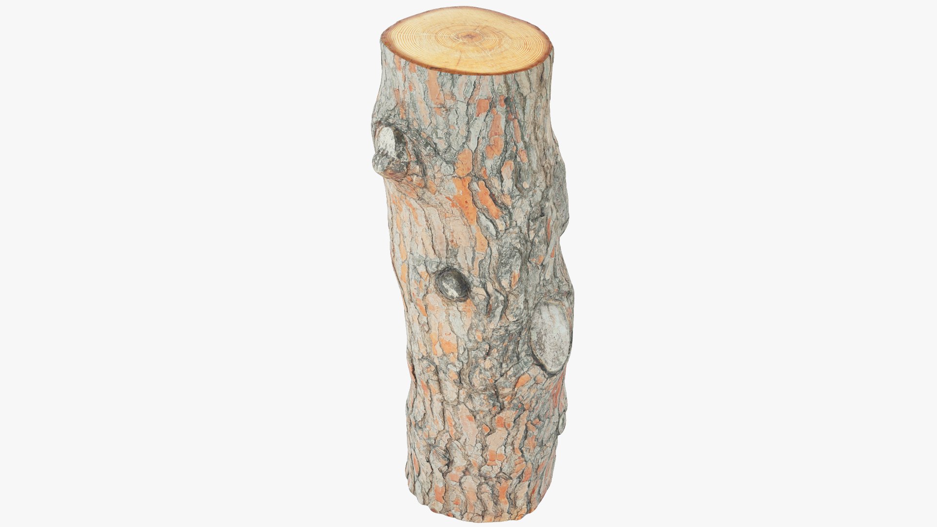 Logs Collection V2 3D model https://p.turbosquid.com/ts-thumb/cS/DZOd6s/BT/pl1_004_009/png/1691701991/1920x1080/fit_q87/19d1e52684ff178e65ee4d1f91a7416e8e05f758/pl1_004_009.jpg