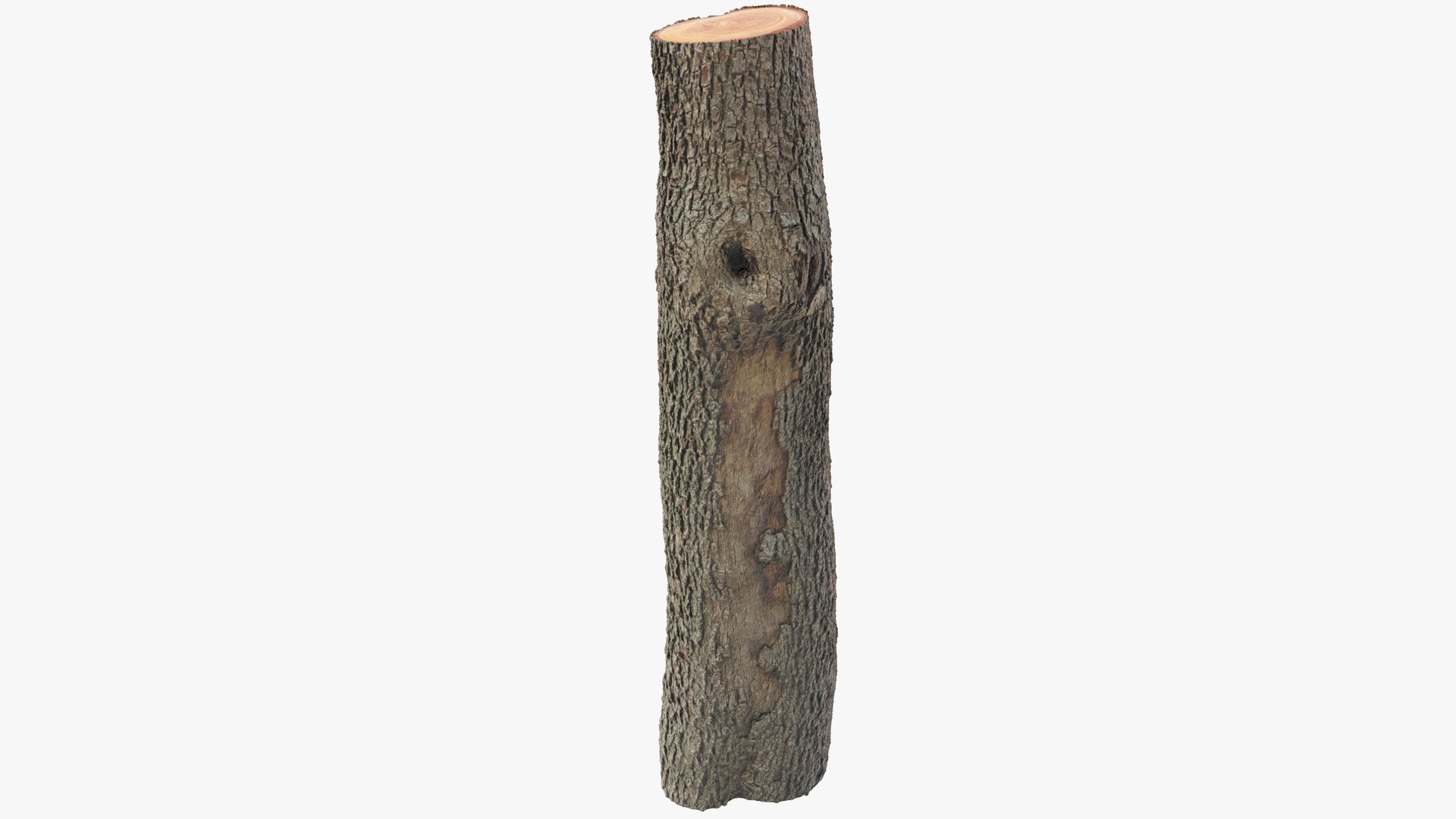 Logs Collection V2 3D model https://p.turbosquid.com/ts-thumb/cS/DZOd6s/Lz/log1_004_004/png/1691702423/1920x1080/fit_q87/62a9f09bfd9f40d6c4093d48791307736c77e9e2/log1_004_004.jpg