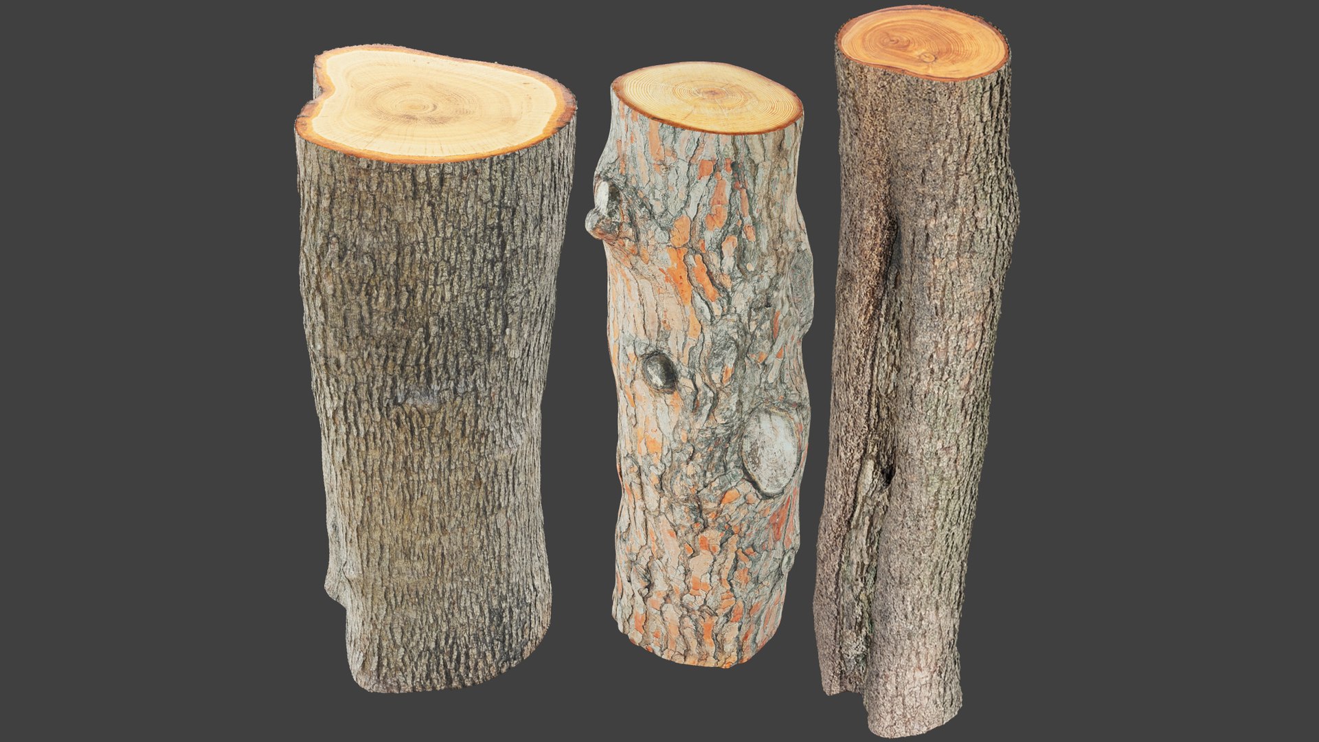 Logs Collection V2 3D model https://p.turbosquid.com/ts-thumb/cS/DZOd6s/MJ/logc2_003/png/1691888689/1920x1080/fit_q87/6a0d1728b29451d34b4f717a410b3fe218325229/logc2_003.jpg
