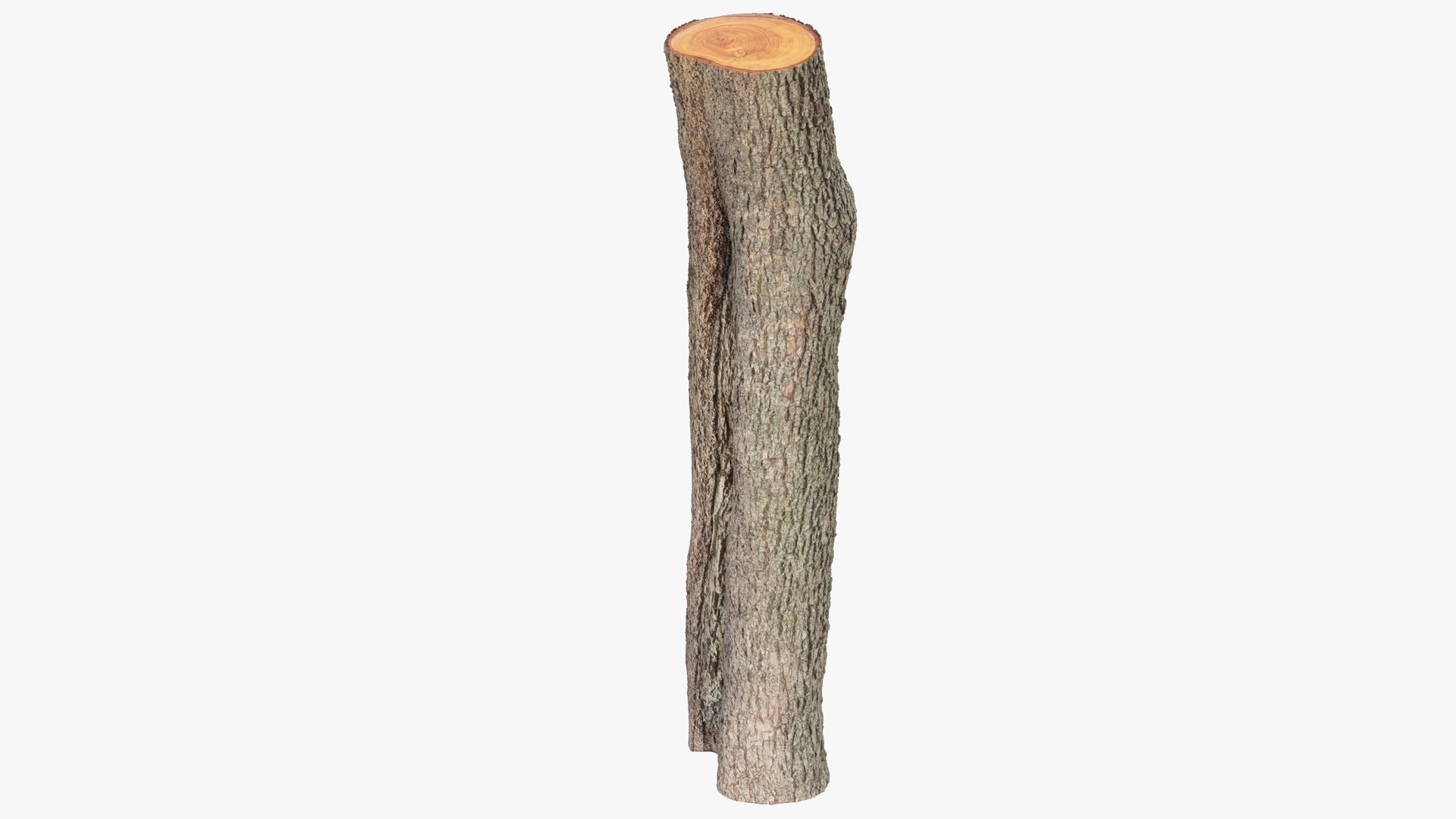 Logs Collection V2 3D model https://p.turbosquid.com/ts-thumb/cS/DZOd6s/Mo/log1_004_002/png/1691702422/1920x1080/fit_q87/a6d247d22d7475d58948734b7bfd81e1a5dc29ba/log1_004_002.jpg