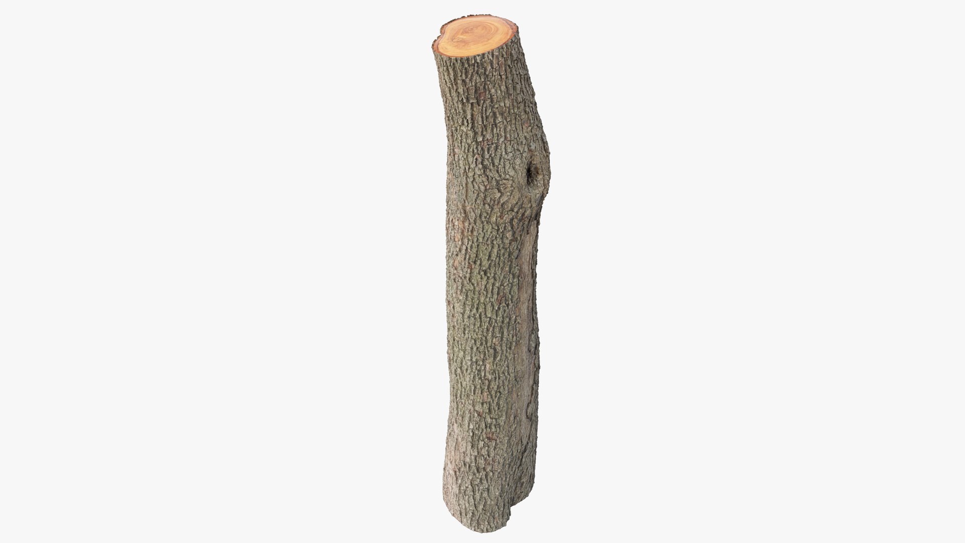 Logs Collection V2 3D model https://p.turbosquid.com/ts-thumb/cS/DZOd6s/SL/log1_004_003/png/1691702423/1920x1080/fit_q87/0298e43873d797932e0cab43fc0ec1cf6faa566d/log1_004_003.jpg