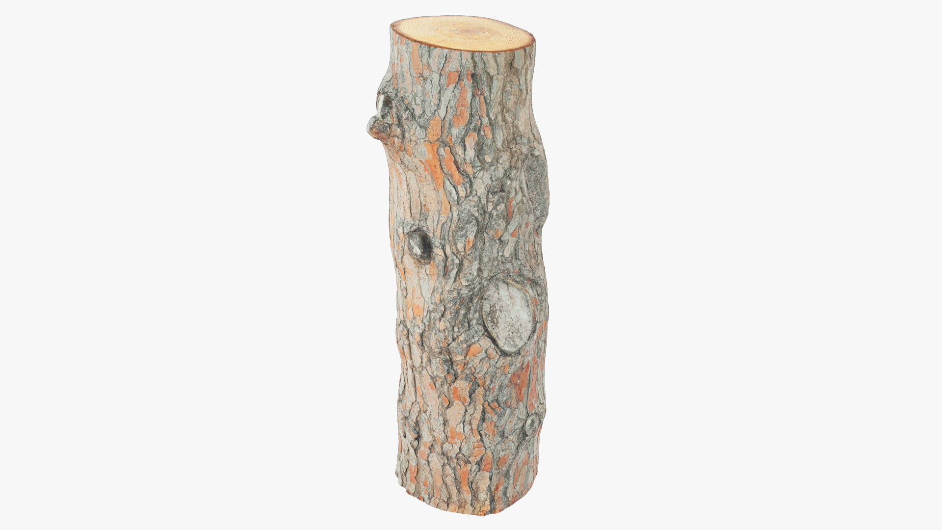 Logs Collection V2 3D model https://p.turbosquid.com/ts-thumb/cS/DZOd6s/Zc/pl1render/jpg/1691190447/1920x1080/turn_fit_q99/2f70cc96dcfc720bace8c0daac33d9ac92337647/pl1render-1.jpg