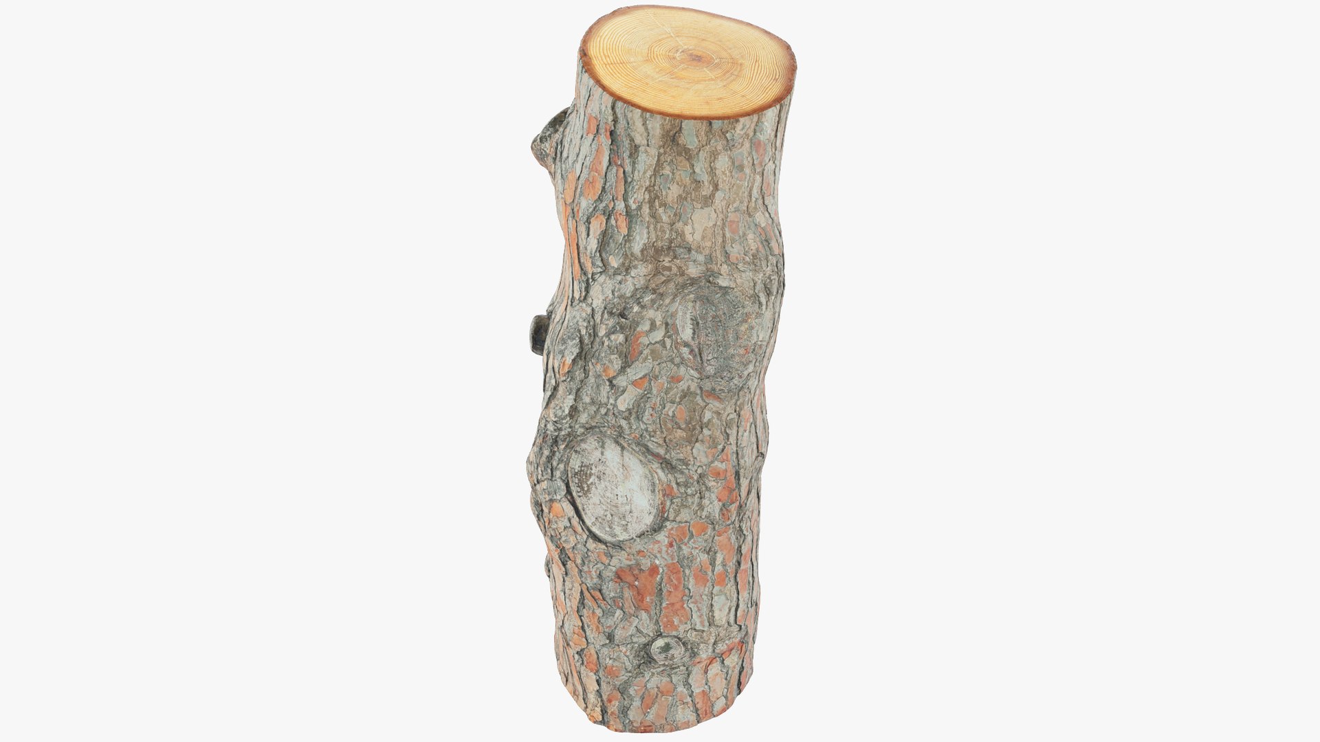 Logs Collection V2 3D model https://p.turbosquid.com/ts-thumb/cS/DZOd6s/fv/pl1_004_002/png/1691701987/1920x1080/fit_q87/2d0ccf3ff682d1d640f8913c9d4980fd32607917/pl1_004_002.jpg