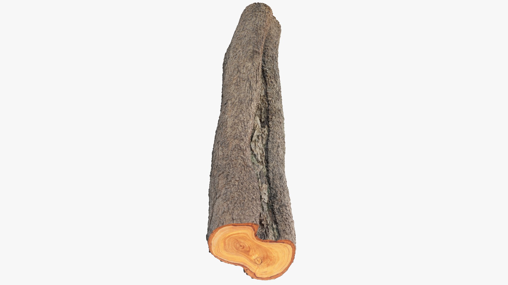 Logs Collection V2 3D model https://p.turbosquid.com/ts-thumb/cS/DZOd6s/h0/log1_004_012/png/1691702436/1920x1080/fit_q87/f532e9901e35e5fe0e29ceb41f6aa3017244e938/log1_004_012.jpg