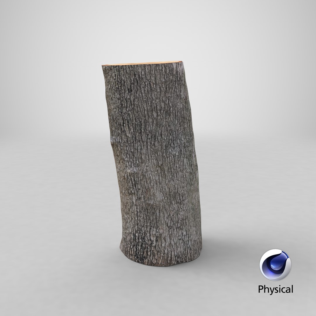 Logs Collection V2 3D model https://p.turbosquid.com/ts-thumb/cS/DZOd6s/n4/stemcell_cinema_4d_physical_render/png/1692139062/1920x1080/fit_q87/762173e9d4130b5829d55e317183b4ab93bcb700/stemcell_cinema_4d_physical_render.jpg