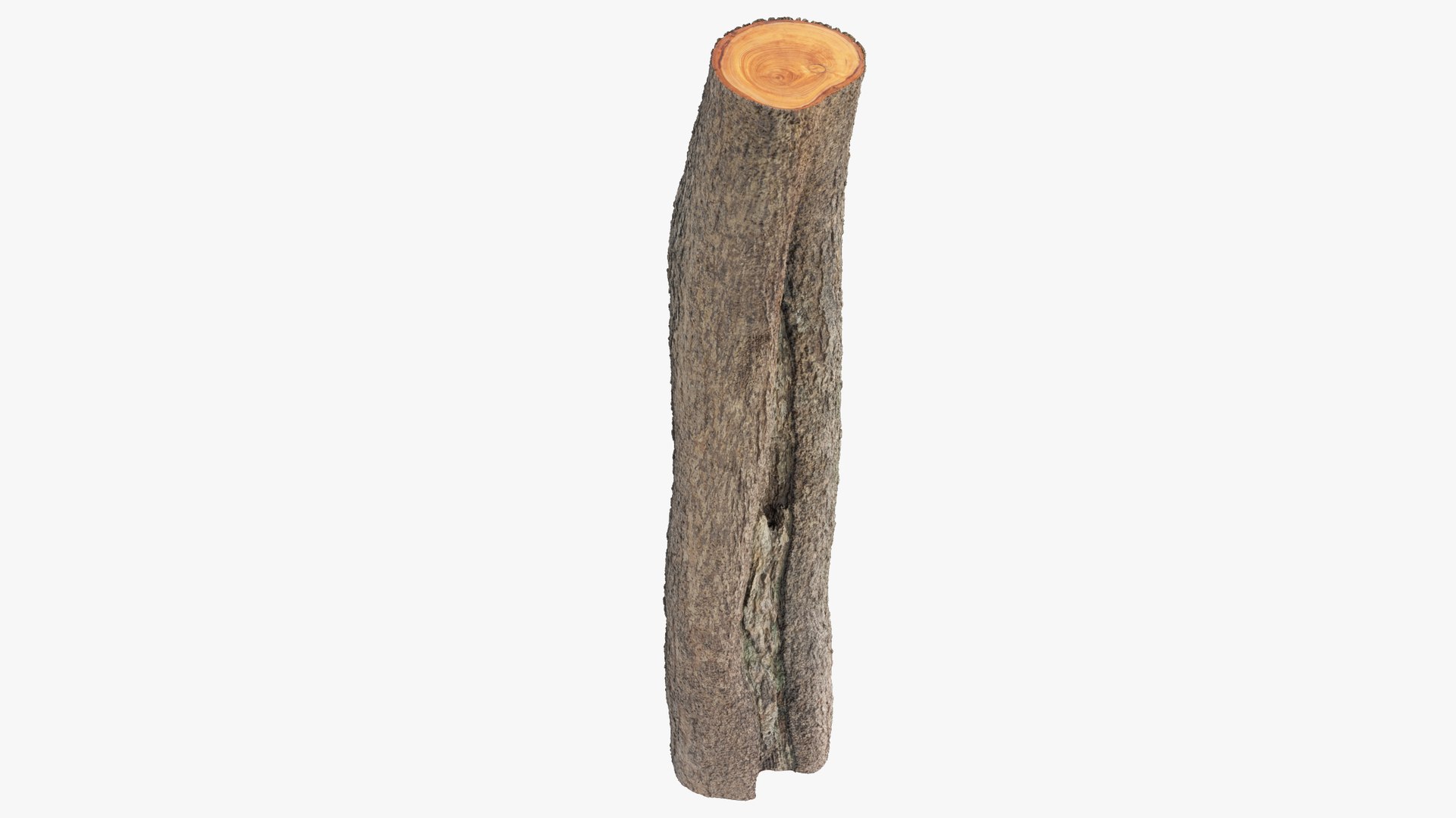 Logs Collection V2 3D model https://p.turbosquid.com/ts-thumb/cS/DZOd6s/vY/log1_004_008/png/1691702427/1920x1080/fit_q87/688353c5fb350b64ff63e38cfc8bc7b3c3fa69a2/log1_004_008.jpg