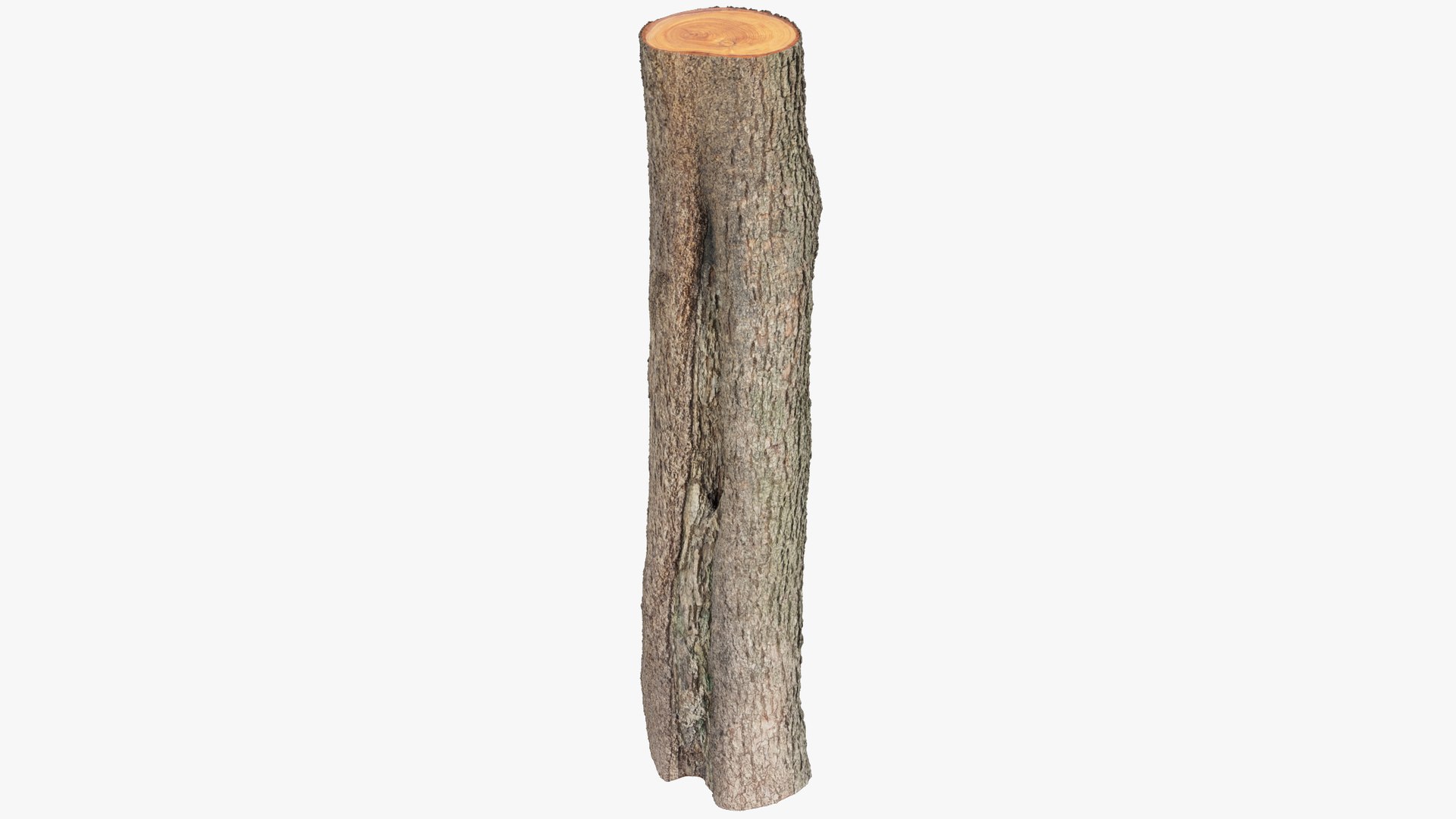 Logs Collection V2 3D model https://p.turbosquid.com/ts-thumb/cS/DZOd6s/xl/log1_004_001/png/1691702420/1920x1080/fit_q87/c6b0fae55cf548b69c8e2fee1c6ceb35457bd57a/log1_004_001.jpg