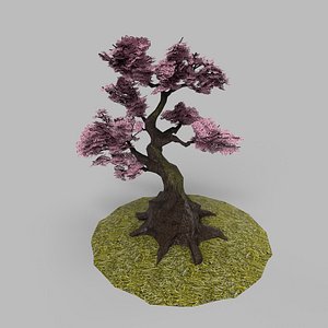 Blossom Spirit Tree