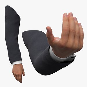 3D Male Arm Beckon Animated Rigged for Maya