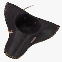 Pirate Hat 02 Flipped