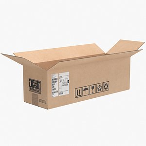 Cardboard Box 8 Open