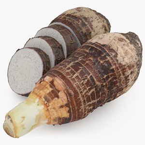 Whole Half Slice Taro model