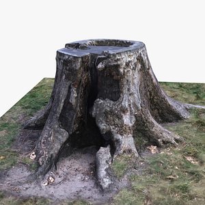 tree stump 3ds