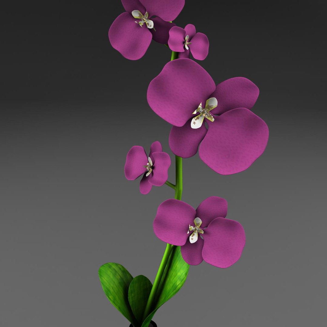 vase 3d model https://p.turbosquid.com/ts-thumb/cT/0q2cY8/8h80weEM/flores5/jpg/1364996461/1920x1080/fit_q87/8da4f8b8c729165b8d1389b3e19e60db5f60a6f7/flores5.jpg