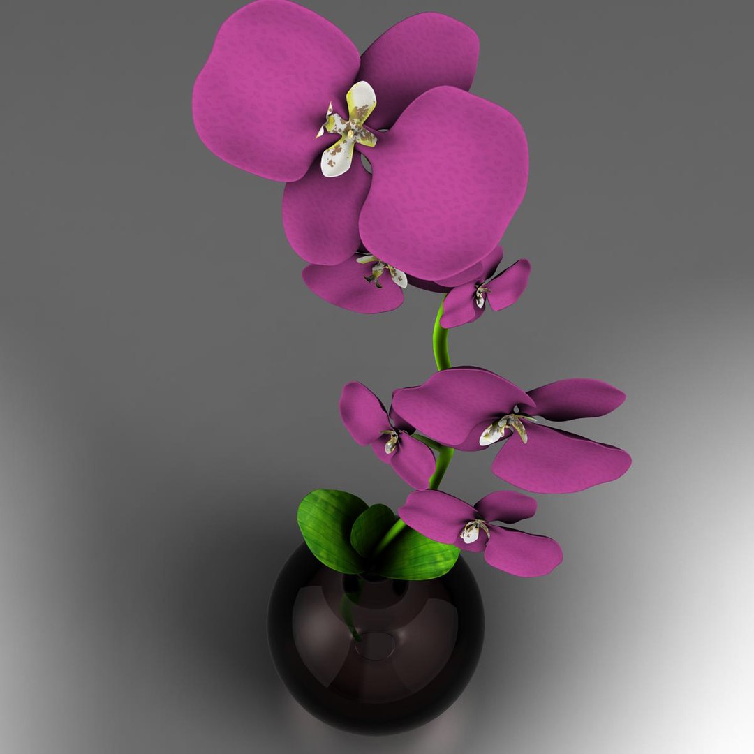 vase 3d model https://p.turbosquid.com/ts-thumb/cT/0q2cY8/9A91Ua2L/flores4/jpg/1364996461/1920x1080/fit_q87/0853d20f1dd7e97d256682ba3be165217c9db48d/flores4.jpg